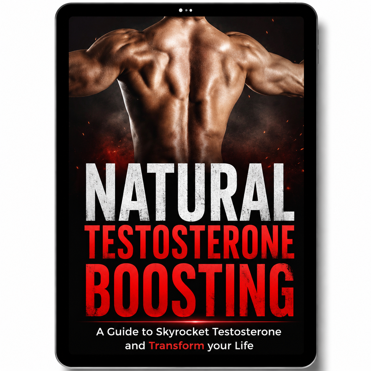 Guide to Increasing Testosterone Levels